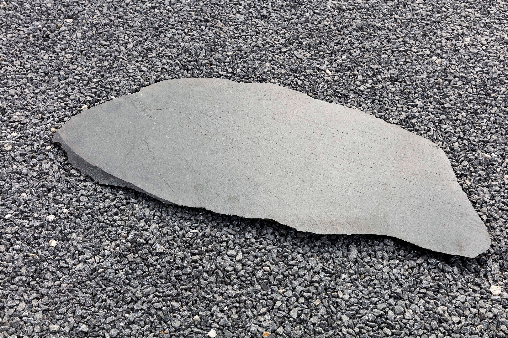 STEP OCTOPUS 2-3 CM EP - JardiDéco